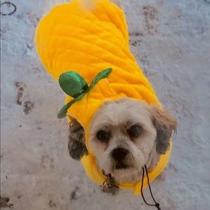 Meet your Posher, Ashlie